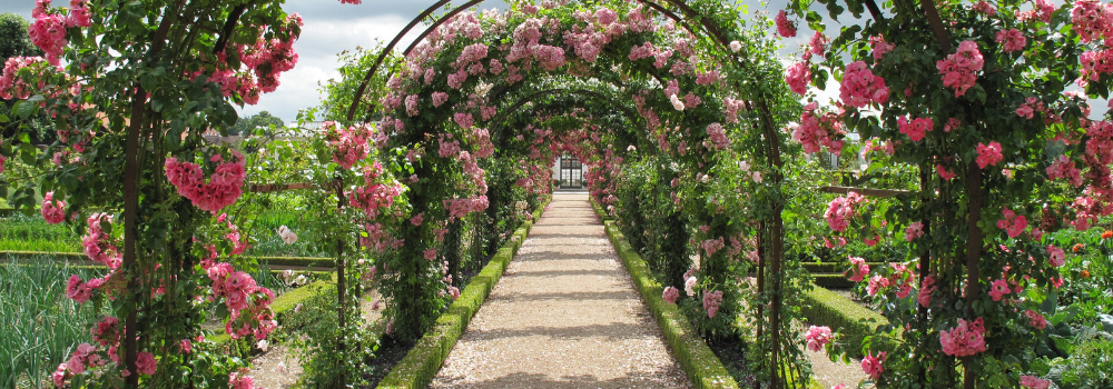gardening, library, events